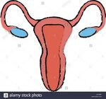 Saying GoodBye to the Uterus I Never Used by CoachLynn Mediu